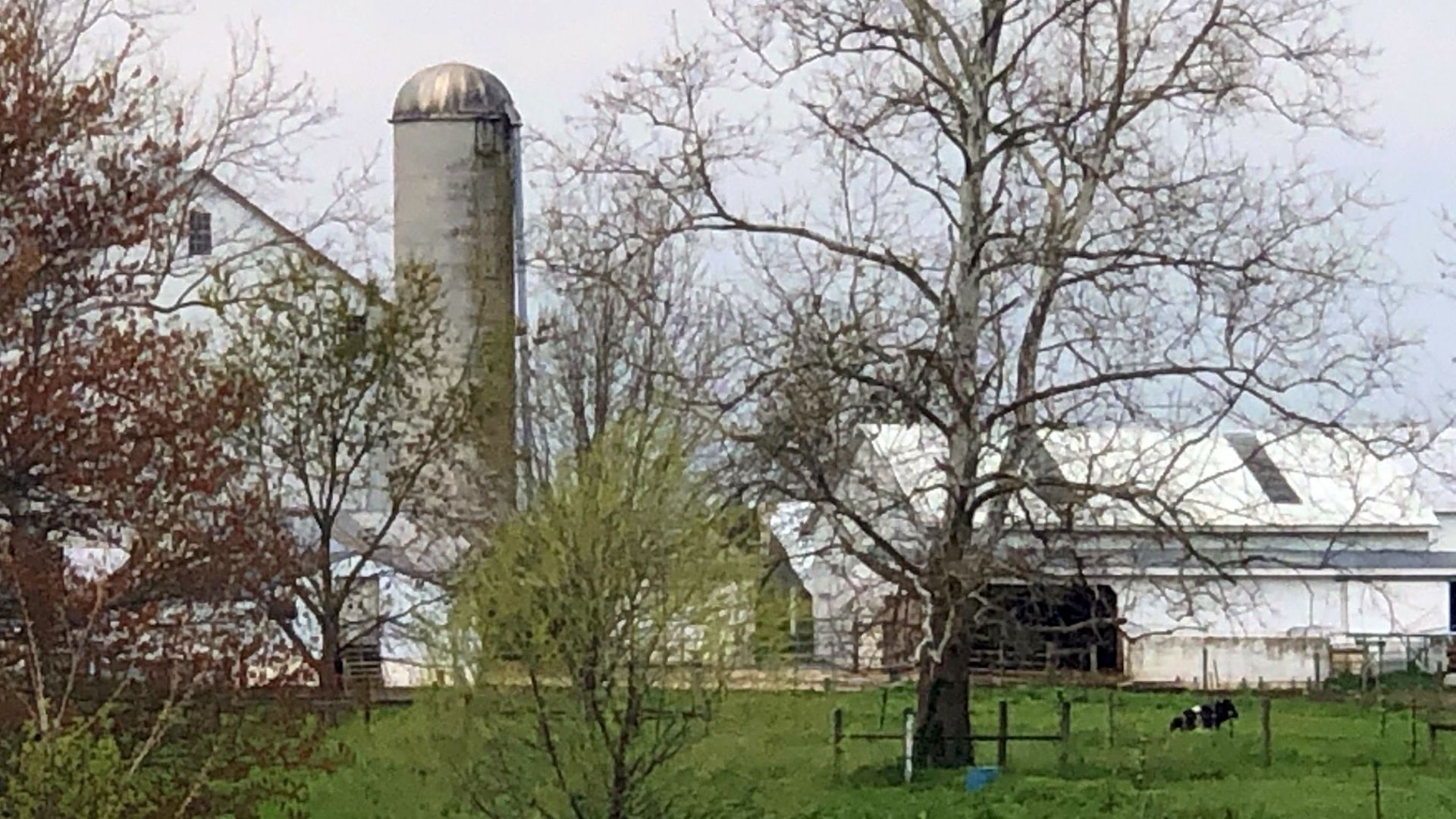 Amish farm